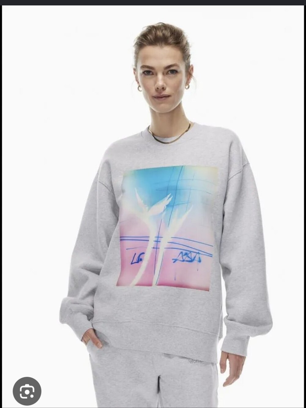 Aritzia Gray Crewneck Sweatshirt with Pink & Blue Graphic Size Xl